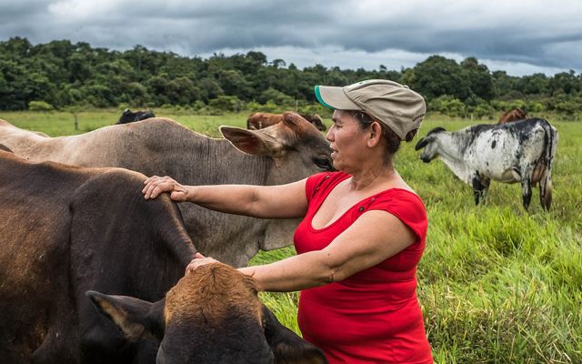 ¡Ganaderos y productores! ya está abierta la preinscripción para el proyecto Colombia Agroalimentaria sostenible