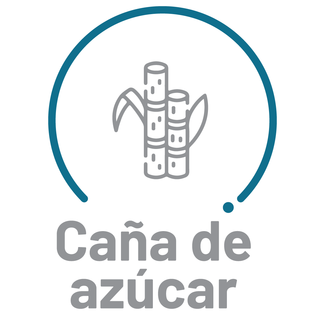 Iconos Cultivos-05